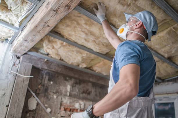 Best Fiberglass Insulation  in Gastonville, PA
