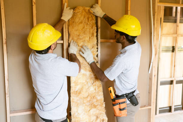 Best Soundproof Insulation Installation  in Gastonville, PA